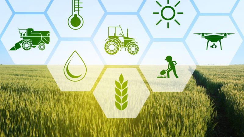 Agriculture & Farming Sector
